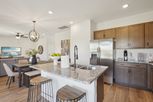 Cotton Row Estates - New Market, AL