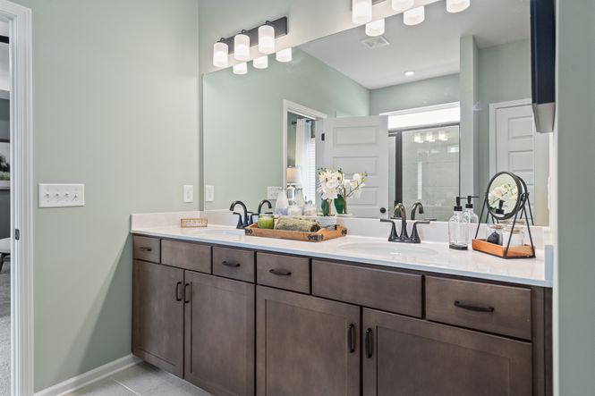 The McGinnis - Primary Bathroom