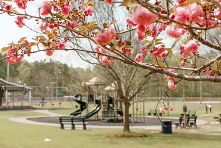 Park in Dallas