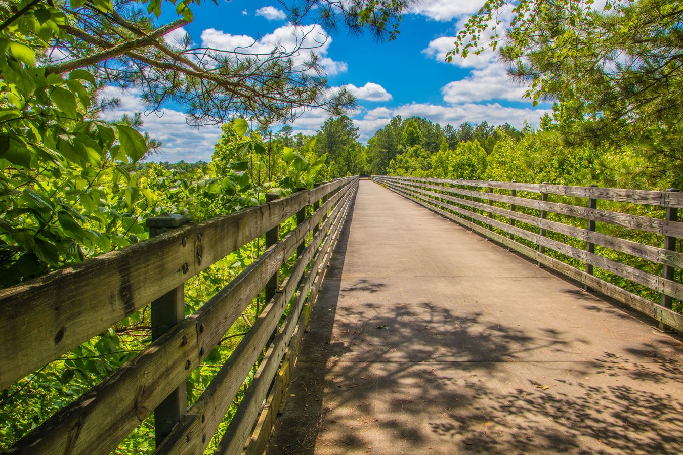 Silver Comet Trail Views