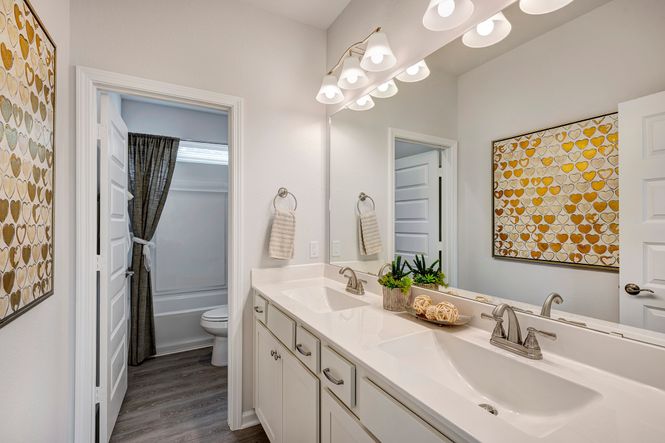 The Robin II- Upstairs Hall Bath with Dual Sinks
