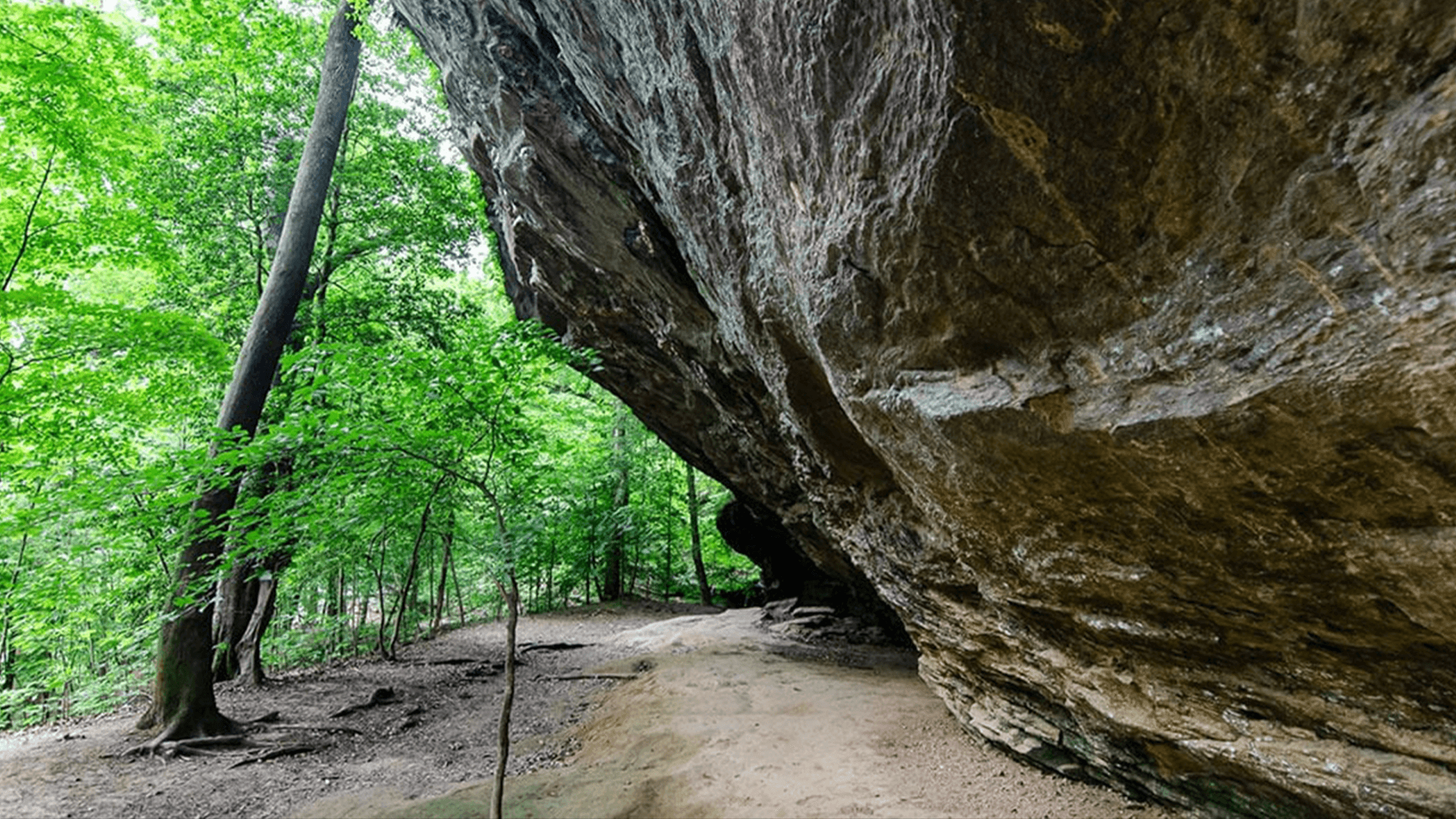 Raven Rock State Park