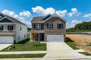 The Harrington - McMullen Gardens: New Market, Alabama - Smith Douglas Homes