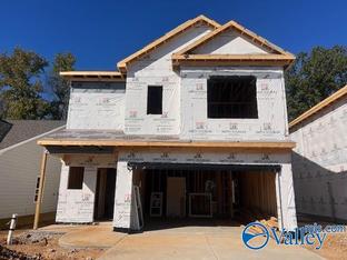 The Braselton II - Crowne Creek Village: Harvest, Alabama - Smith Douglas Homes