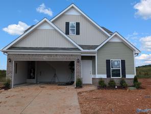 179 Story Ray Drive (179 Story Ray Drive)