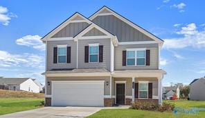 25809 Finchley Drive (The Harrington)