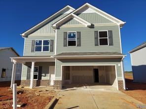 25809 Finchley Drive (The Harrington)