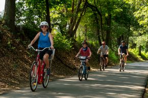 Magnolia Trail - Travelers Rest, SC