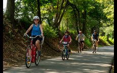 Magnolia Trail: Travelers Rest, South Carolina - Smith Douglas Homes