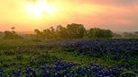 Heritage Grove - Blue Ridge, TX