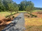 Magnolia Trail - Travelers Rest, SC