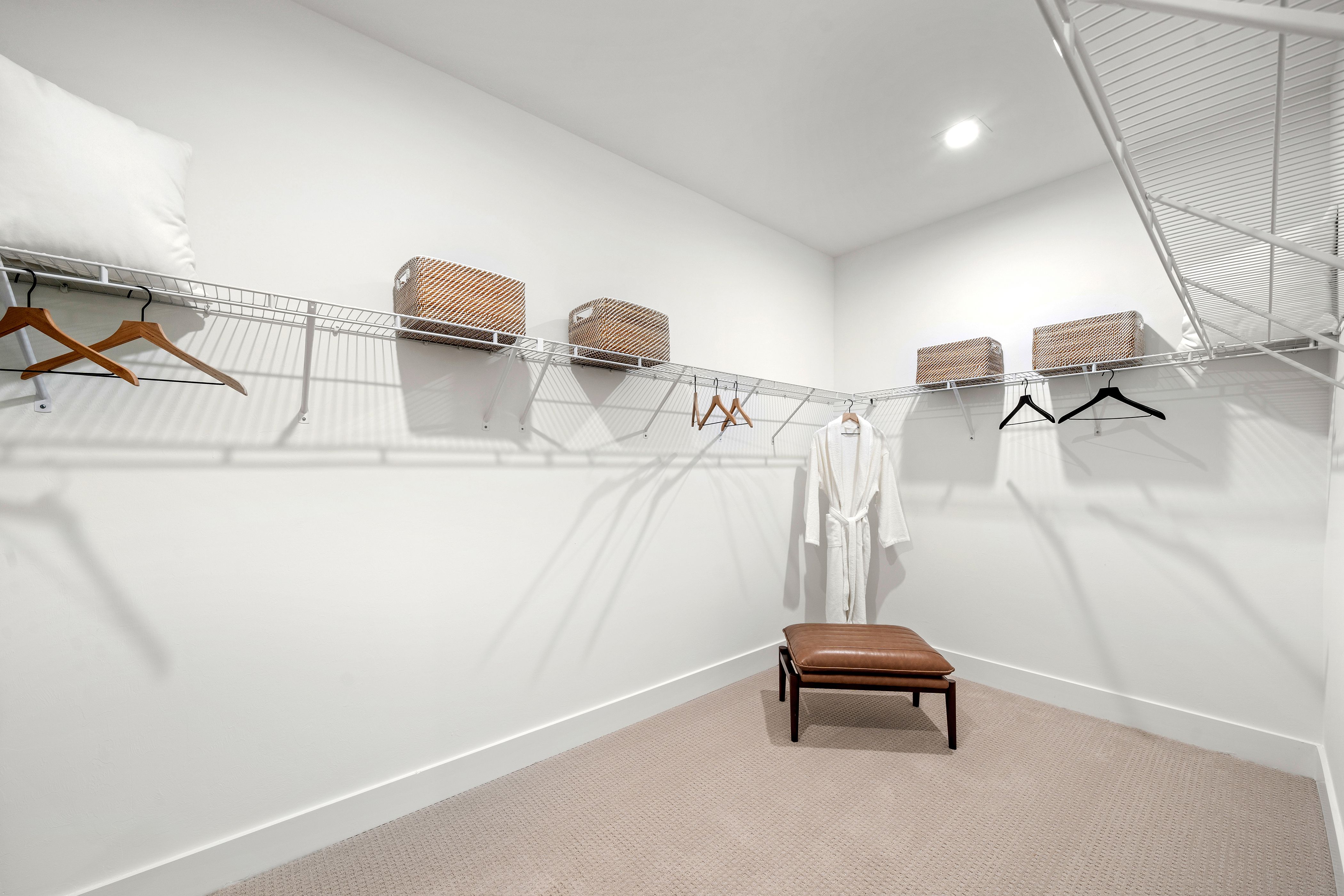 THE DAPHNE (D) MODEL