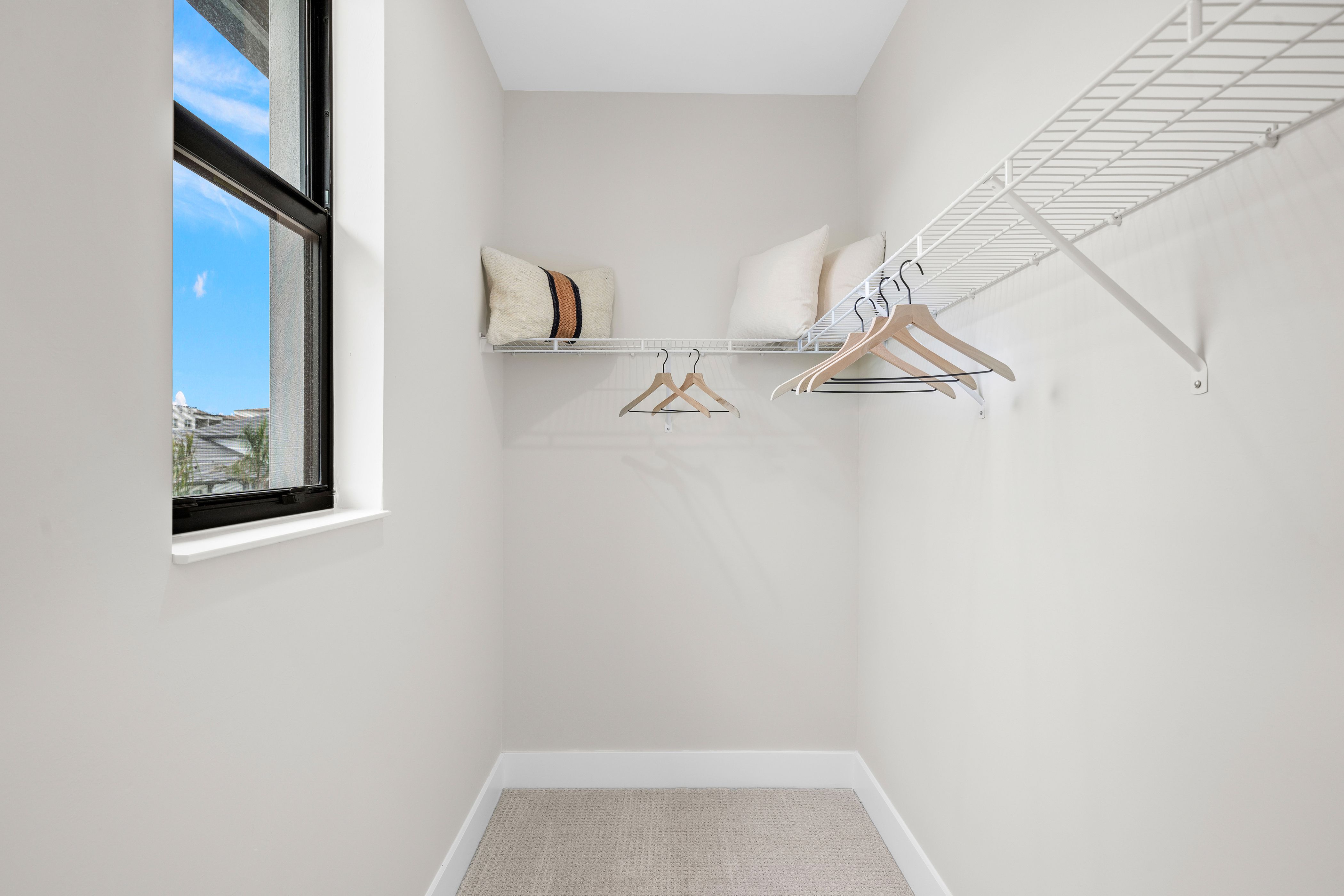 THE DAPHNE (D) MODEL