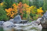 Three Lakes Crossing - Tumwater, WA