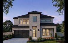 Painted Tree 50' Series: McKinney, Texas - Southgate Homes