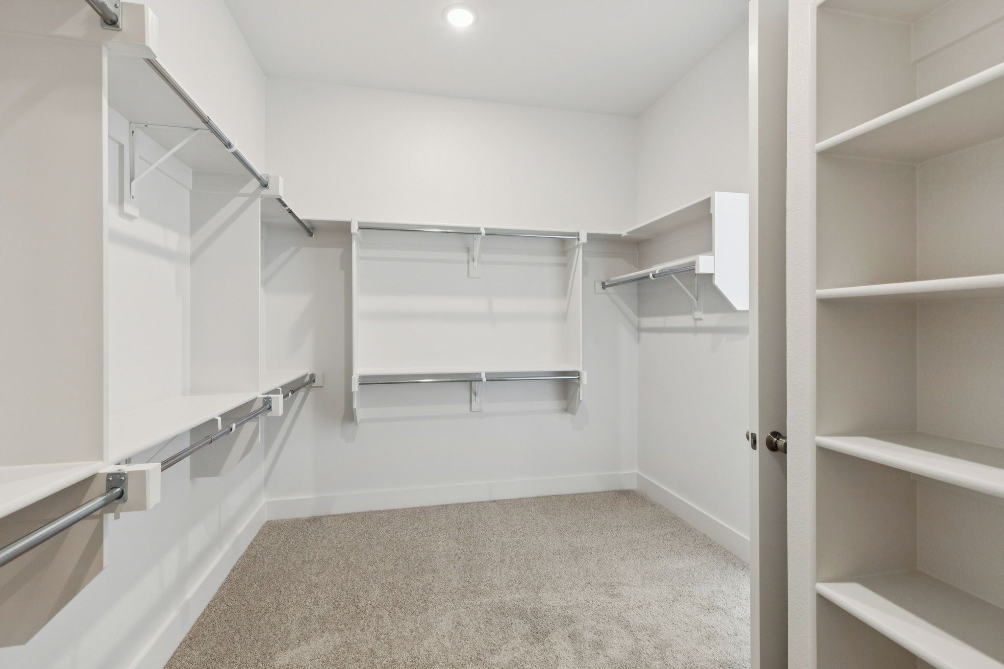 Owner's Walk-in Closet