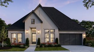 Connor - Painted Tree 60' Series: McKinney, Texas - Southgate Homes