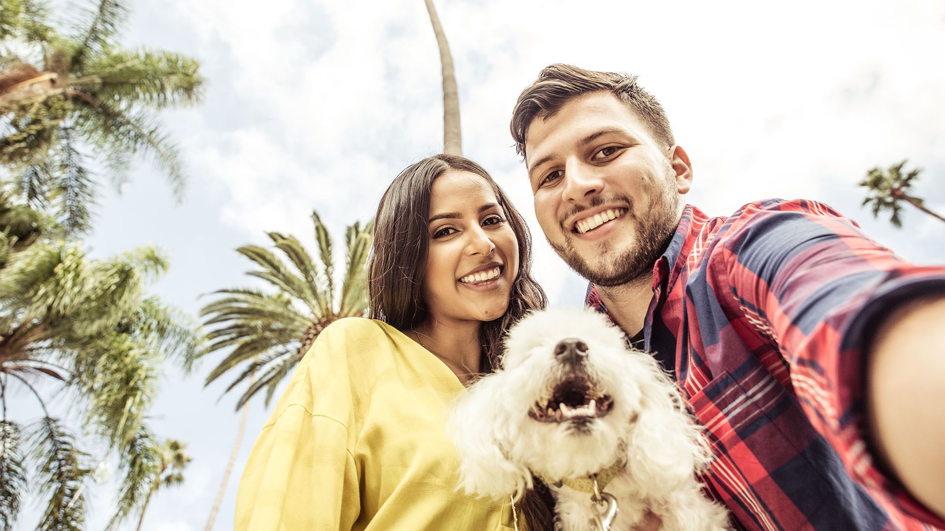 Avalon Park Tavares Townhomes - Tavares, FL