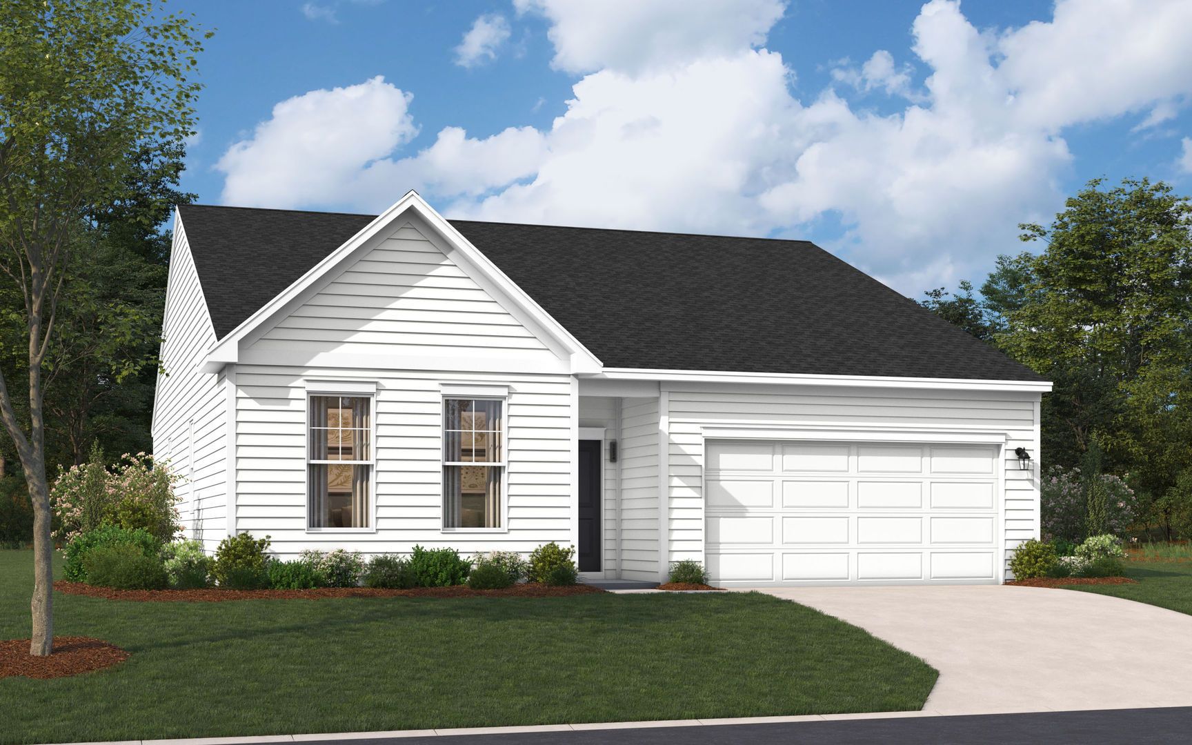 Calico - Morehead City, NC