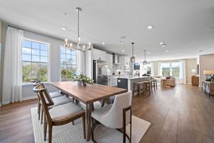 The Julianne - Coalfield Station: Midlothian, Virginia - Stanley Martin Homes