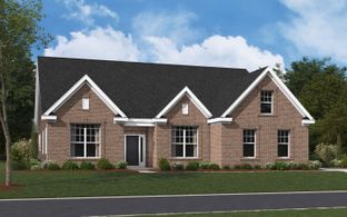 The Ransford - Timberline Meadows: Sumter, South Carolina - Stanley Martin Homes