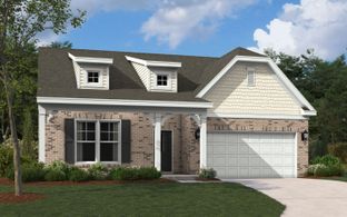 The Wallace - Timberline Meadows: Sumter, South Carolina - Stanley Martin Homes