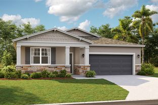 The Juniper - Groves At Whitemarsh: Leesburg, Florida - Stanley Martin Homes