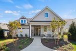 Falls Village - Durham, NC