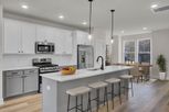 Indigo Grove Townhomes - Johns Island, SC