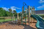 Ferguson Farms - Grovetown, GA