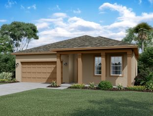 Polaris - Hawks Run: Kissimmee, Florida - Starlight Homes