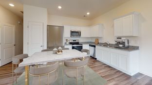 Cosmos - Kingston Cove: Auburn, Georgia - Starlight Homes
