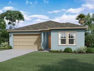 Hawking - Hawks Run: Kissimmee, Florida - Starlight Homes