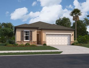 Halo - Hawks Run: Kissimmee, Florida - Starlight Homes