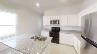 Enterprise - Landings at Mount Olive: Polk City, Florida - Starlight Homes