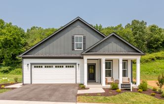 The Shenandoah Image