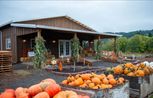 Frog Pond Vista - Wilsonville, OR