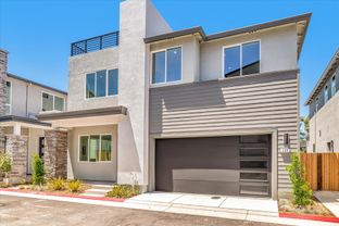 Court Plan 3 - City Village: San Ramon, California - SummerHill Homes
