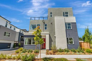 Court Plan 3X - City Village: San Ramon, California - SummerHill Homes