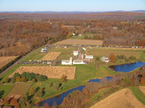 photo credit: Clionn (cc by 3.0) https://www.shorturl.at/shortener.php