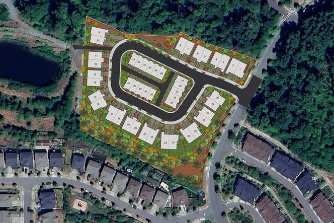 Satellite View