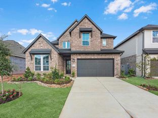 Downy - Jubilee 50': Hockley, Texas - Tri Pointe Homes