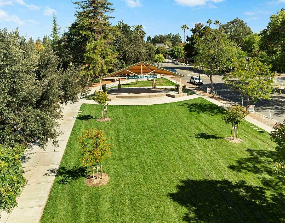 Concerts in The Park