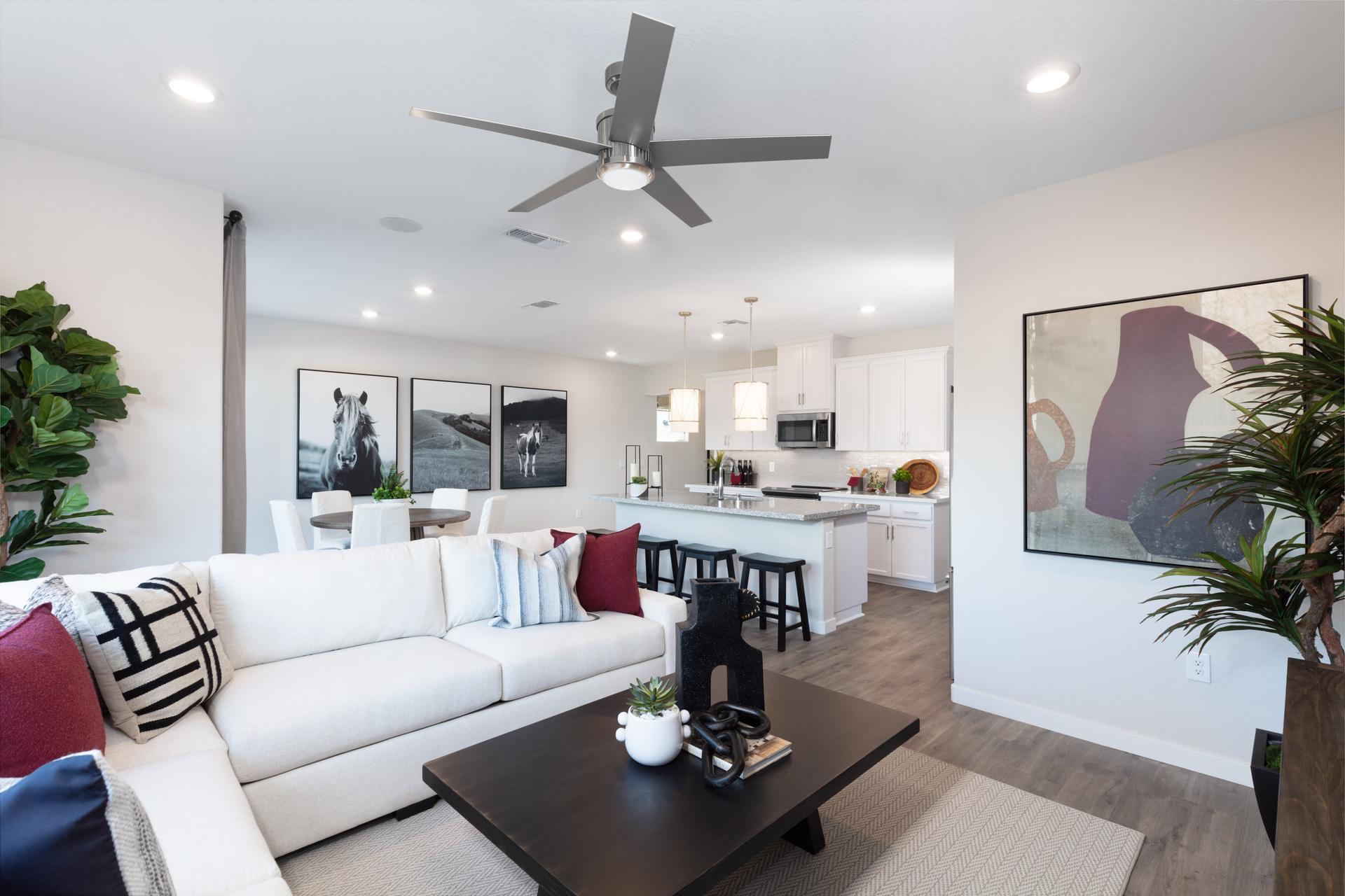 232 Shiplap Cir