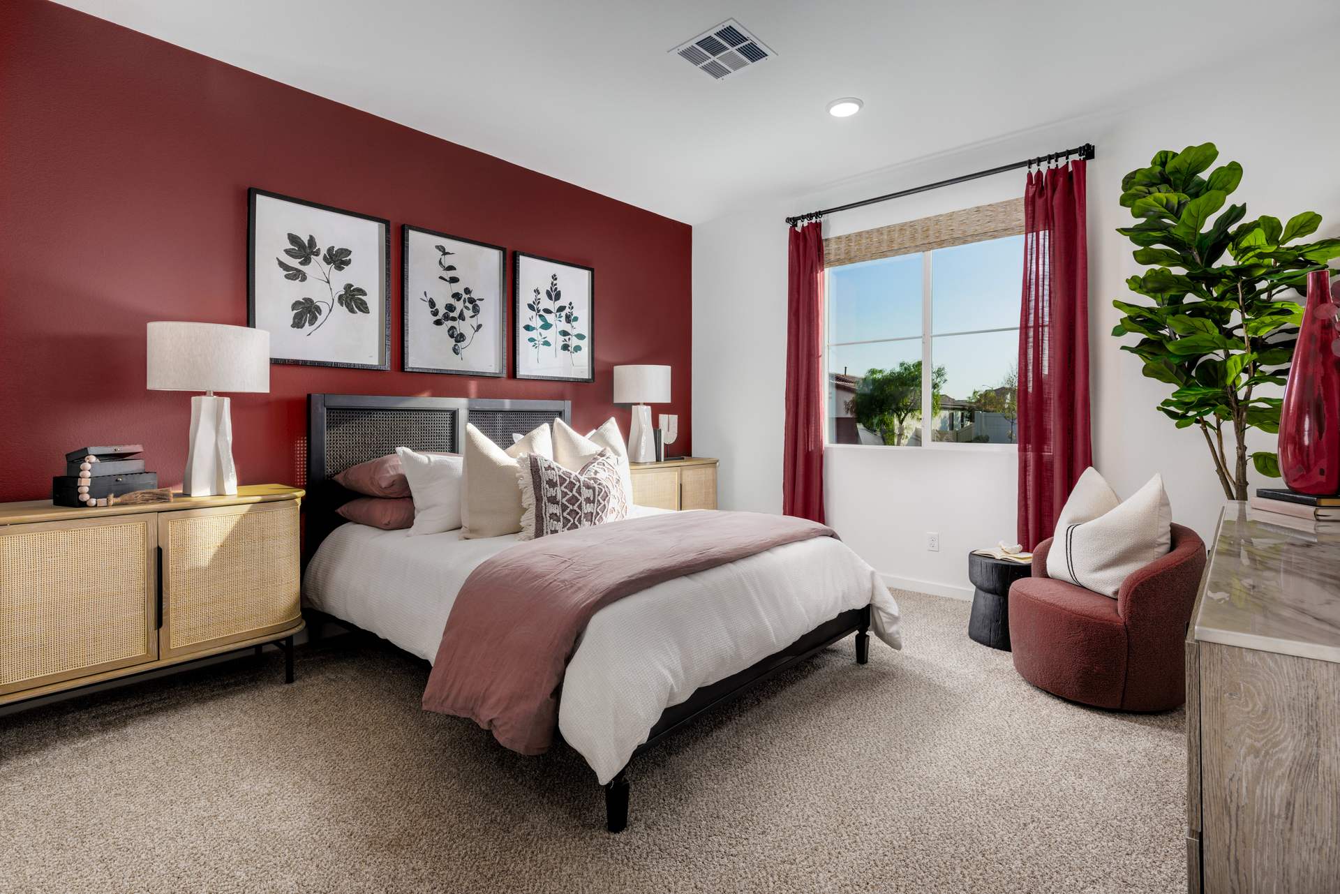 Palomar Plan 1