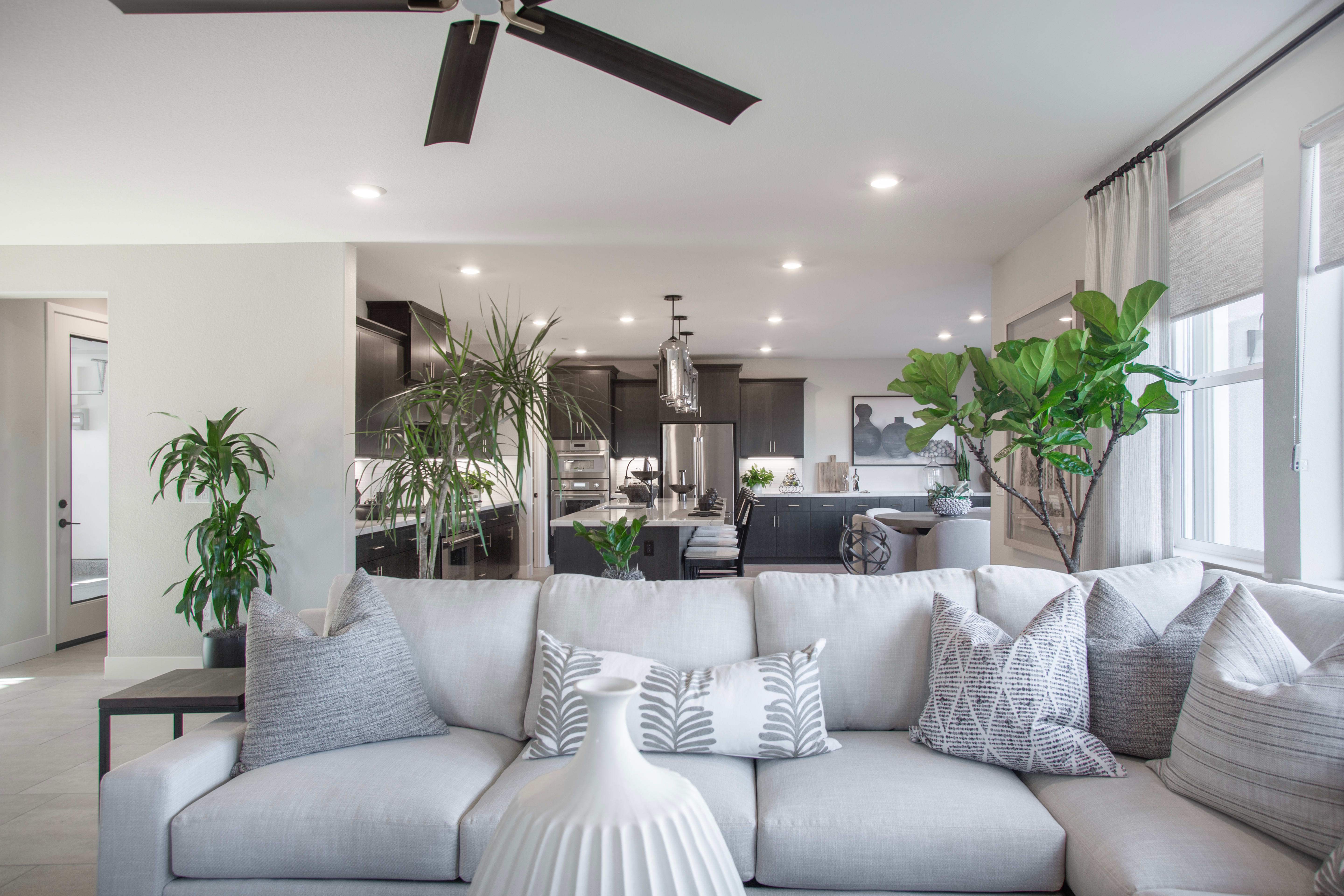 Plan 3