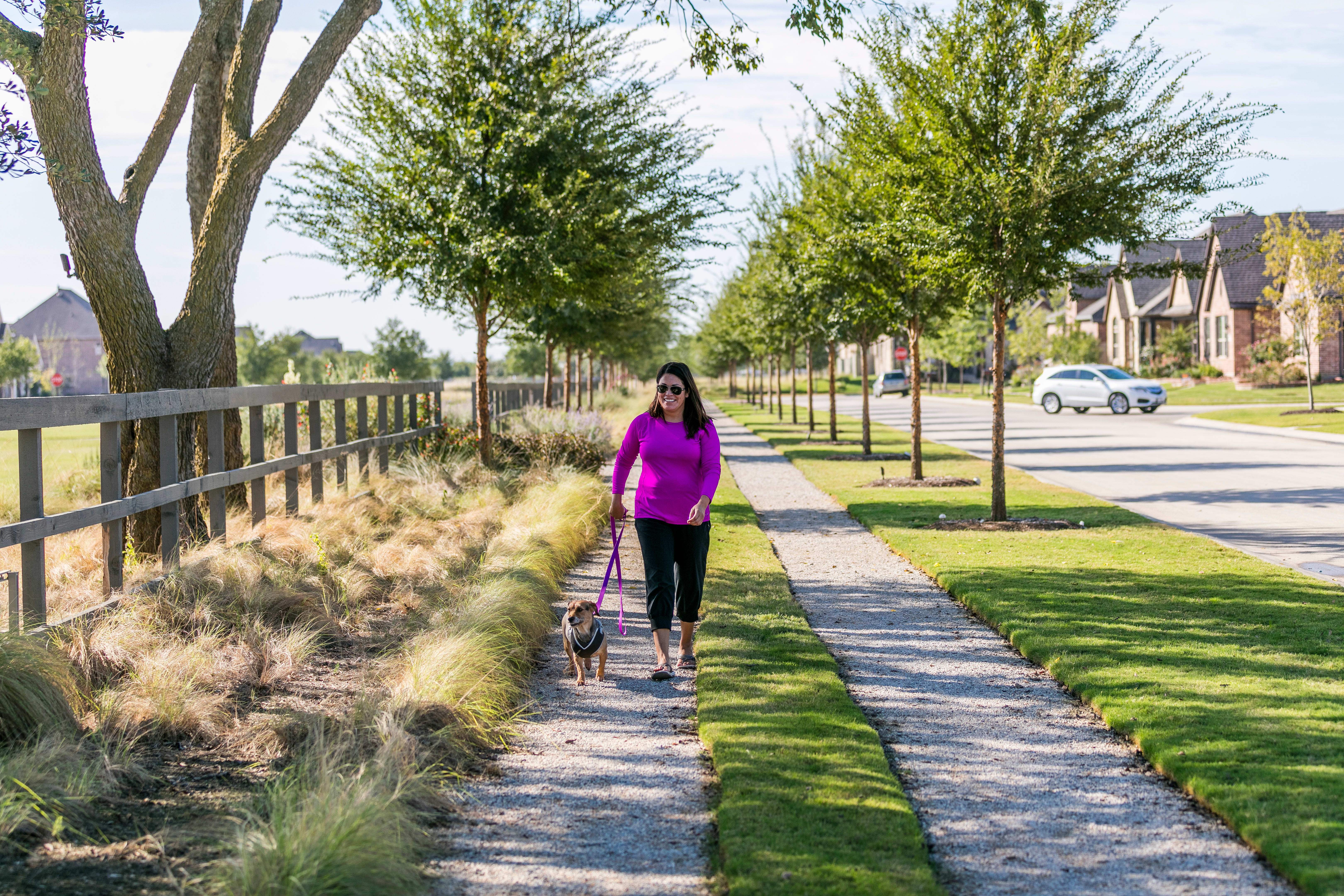 casa en Cottage Collection at Harvest por Tri Pointe Homes