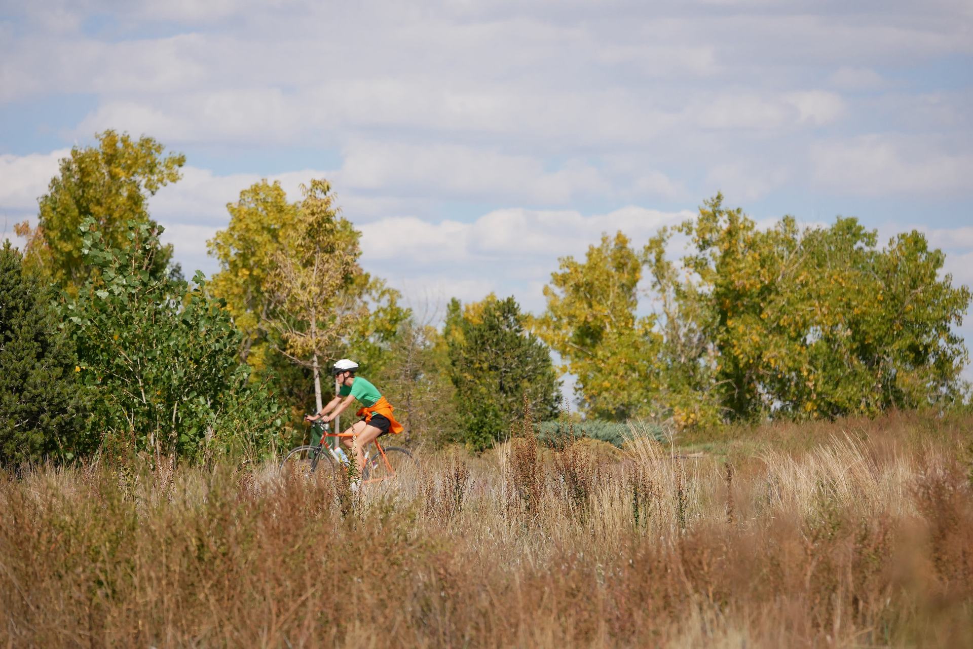 Longmont, CO
