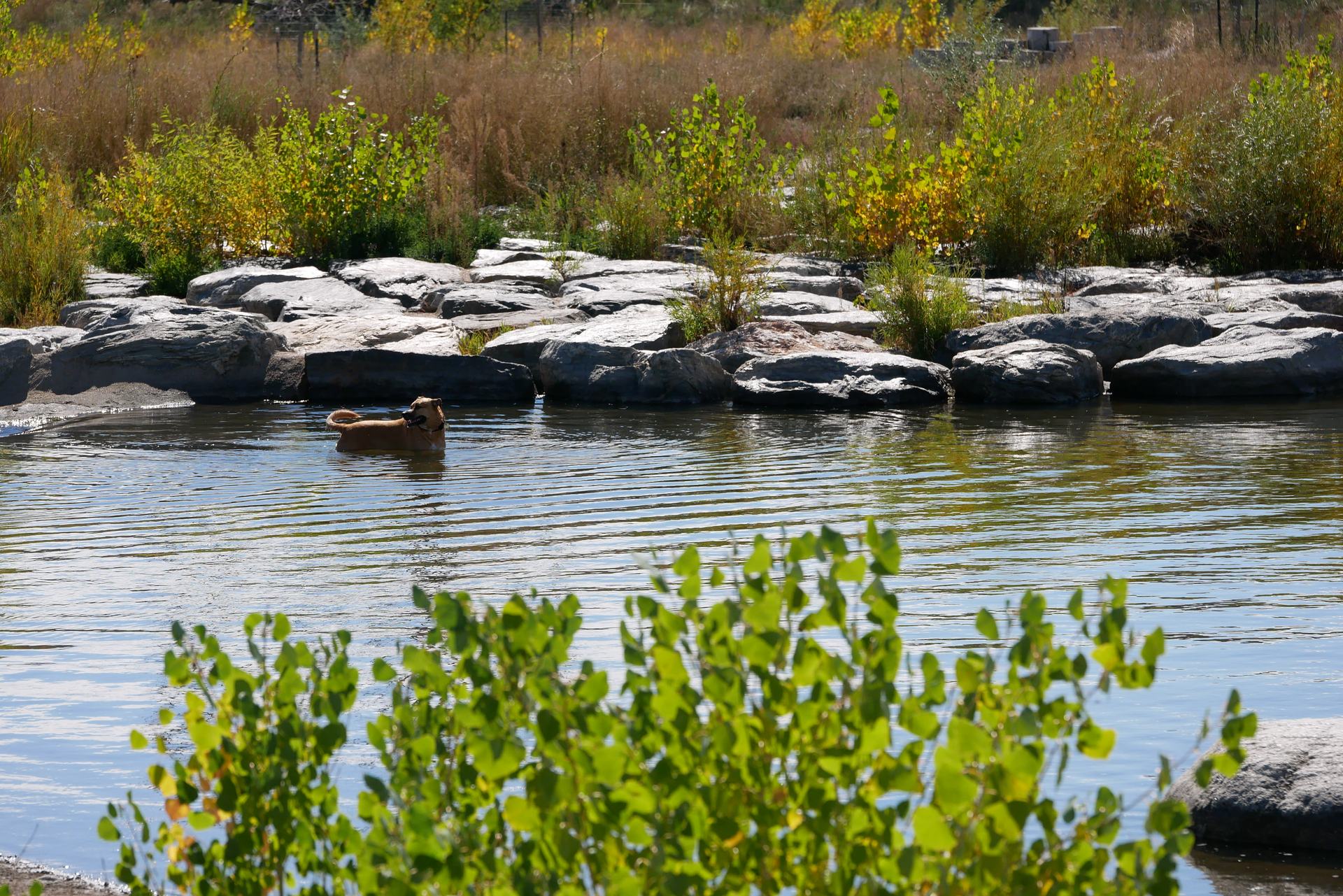 Longmont, CO