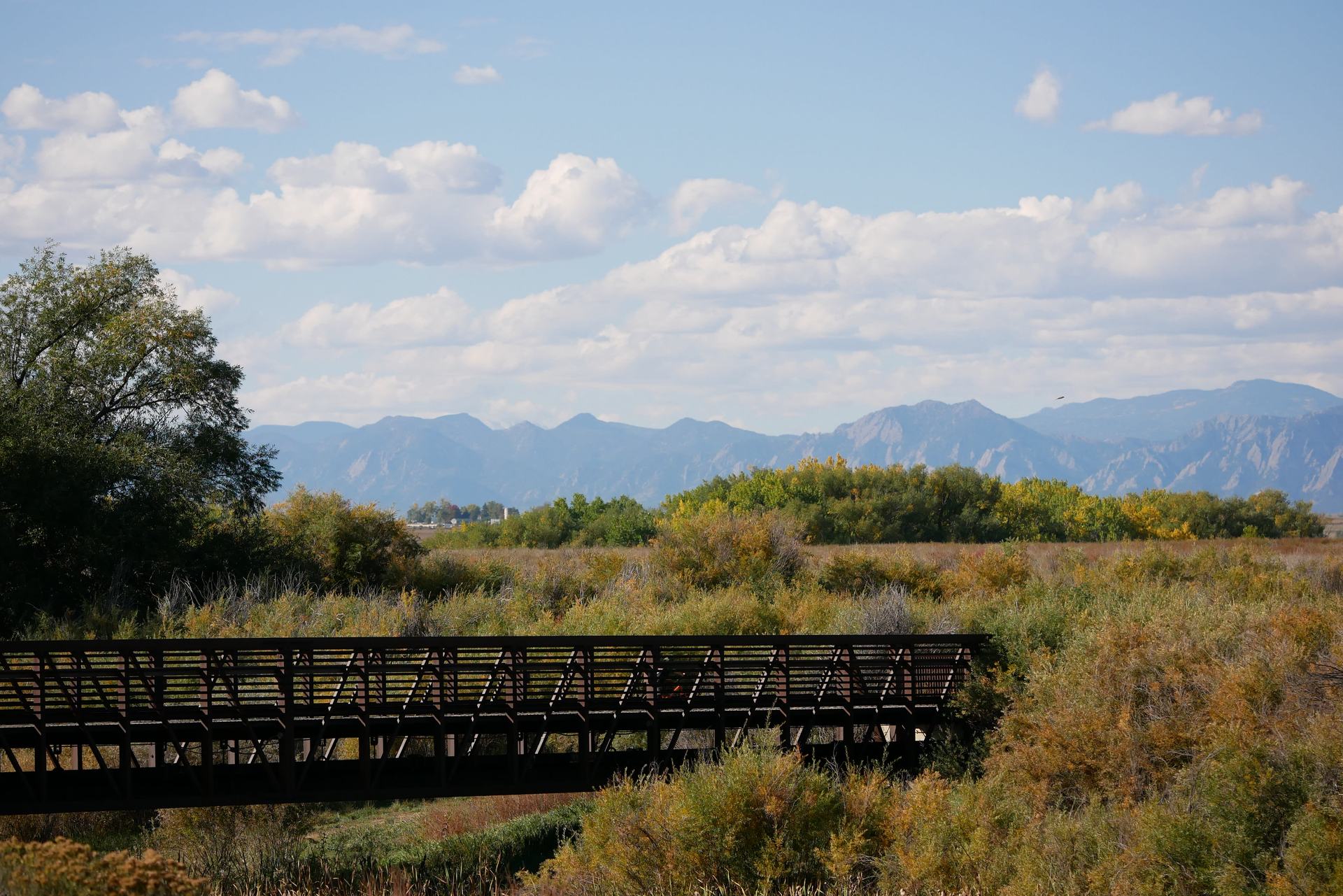 Longmont, CO